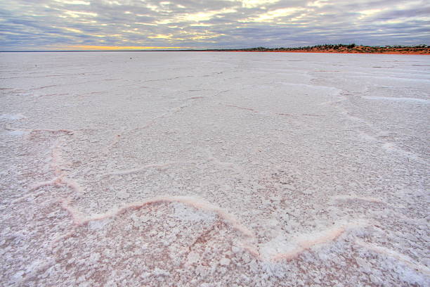 istock Salt lake Hart in South Australia 505793760