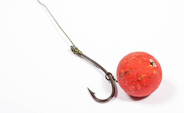 istock Carp Hook Boilies - Fishing Bait close up 505794420