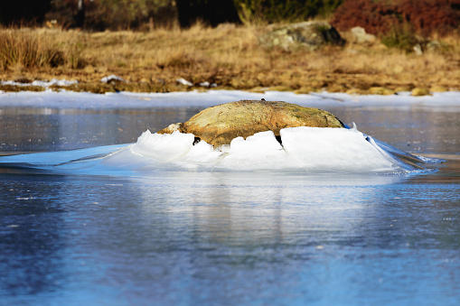 A granite boulder pushes through the ice surface as the ice level lowers. This forms a fine ice hill around the stone. A natural ice formation with beauty. Natural forces at play.
