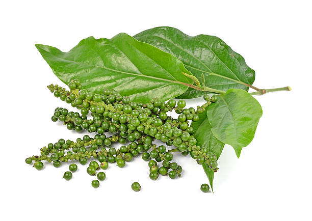 istock pepper seeds isolated on white background 505803212