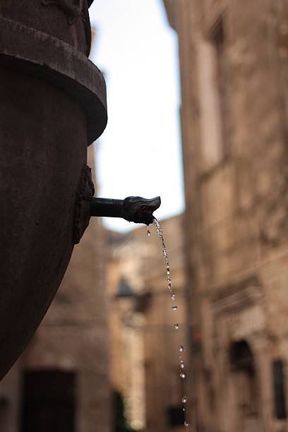 istock Fountain St-Paul of Vence 505819328