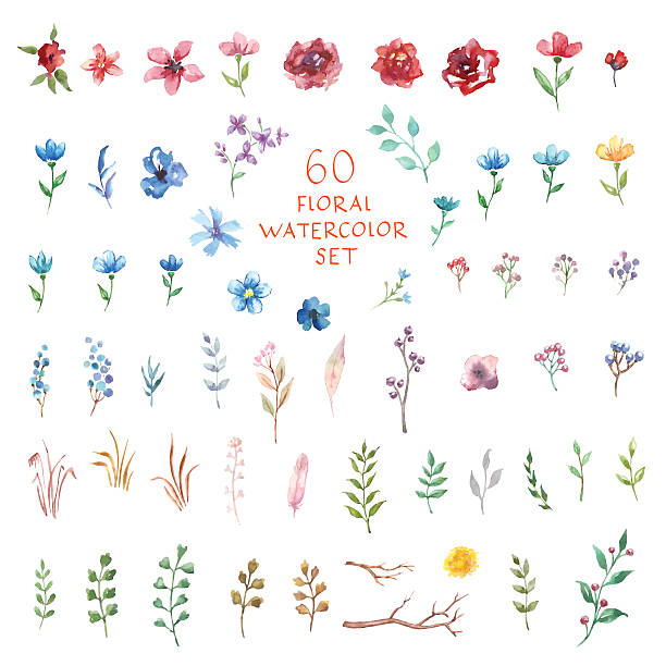 しおり ブックマーク ブックマーカー しおり メッセージカード 名もなき 花 フラワー 押し花 一輪 すみれ 薔薇 チューリップ など 30枚セット 1808sor34 ドールハウスと雑貨 Moin Moin 通販 Mettasaude Com Br しおり ブックマーク ブックマーカー しおり メッセージカード 名もなき 花 フラワー 押し花 一輪 すみれ 薔薇 チューリップ など 30枚セット 1808sor34 ドールハウスと雑貨 Moin Moin 通販 Mettasaude Com Br