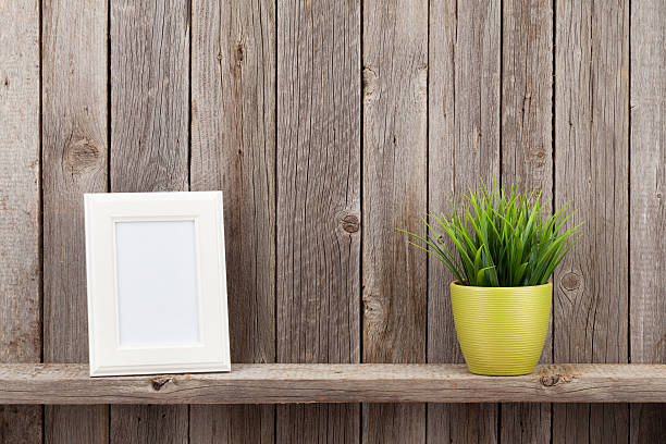istock Blank photo frame and plant 505820374