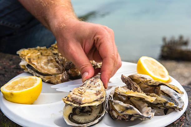 istock Male hand holding oysters 505820768