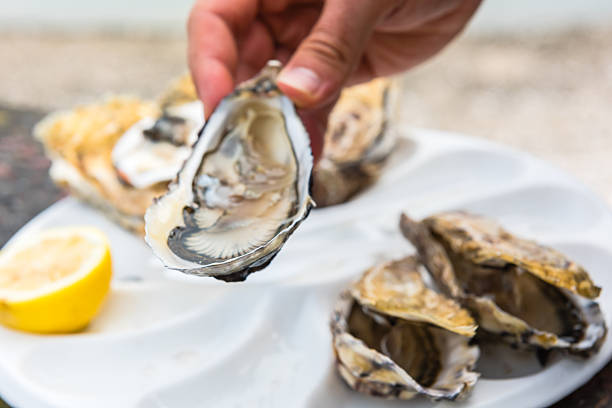 istock Male hand holding oysters 505820790