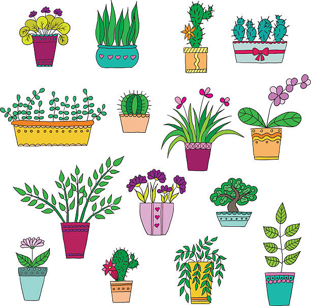 ilustrações de stock, clip art, desenhos animados e ícones de giro mão desenhada vector flores no pots - single flower flower crocus bud