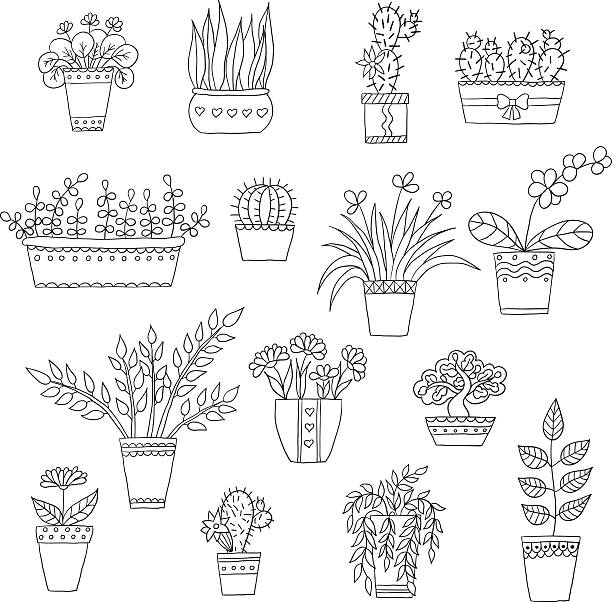 ilustrações, clipart, desenhos animados e ícones de linda mão desenhada em vetor de flores no vapor - flower pot potted plant cactus single flower