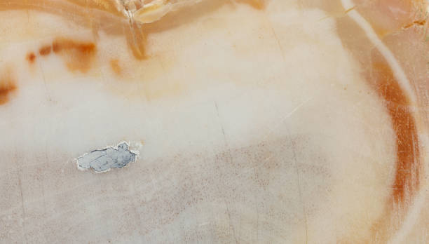 istock Mineral Rock Stock Image 505822320