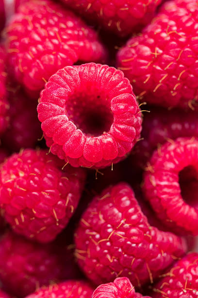 istock Closeup of raspberries in macro 505827790