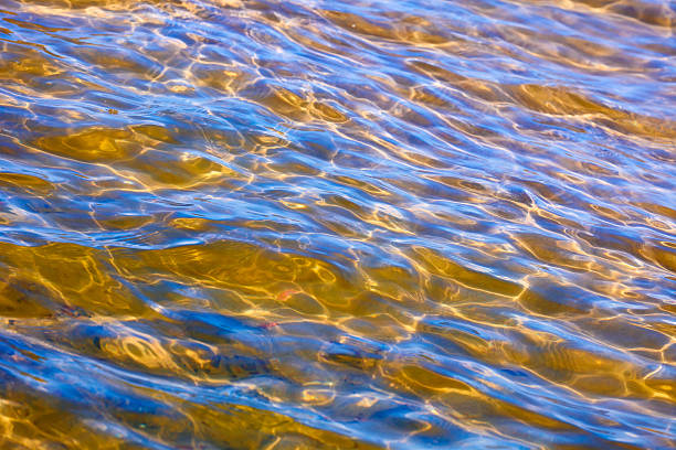 istock sun glare on the sea water. 505828384