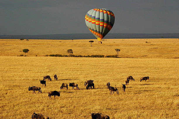 Balão sobre o Masai Mara - fotografia de stock