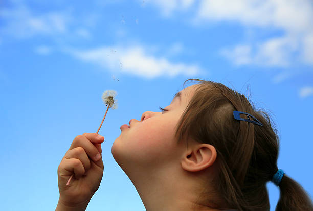 menina voando de dente de leão - spring flower dandelion expressing positivity - fotografias e filmes do acervo