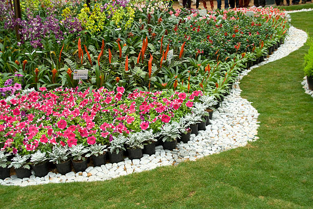 istock Flowers, Pebbles and Grass 505837977