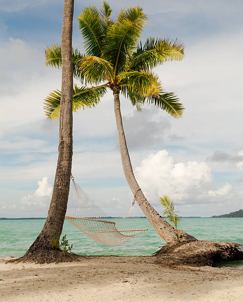 istock Hammock on palm trees by ocean on tropical island beach 505838075