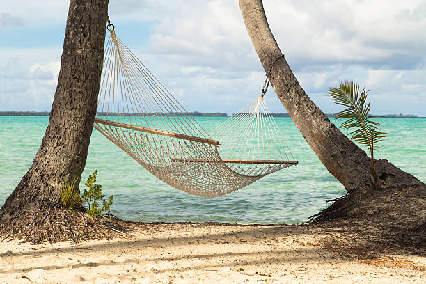 istock Hammock on palm trees by ocean on tropical island beach 505838077