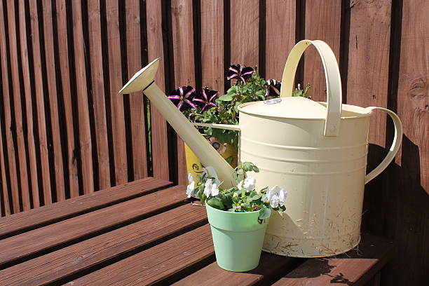 istock watering can and flowers 505840193