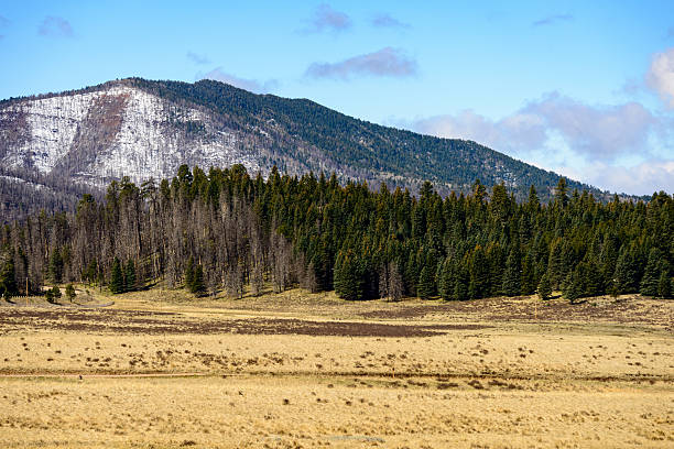 istock Valles Caldera National Preserve 505840384