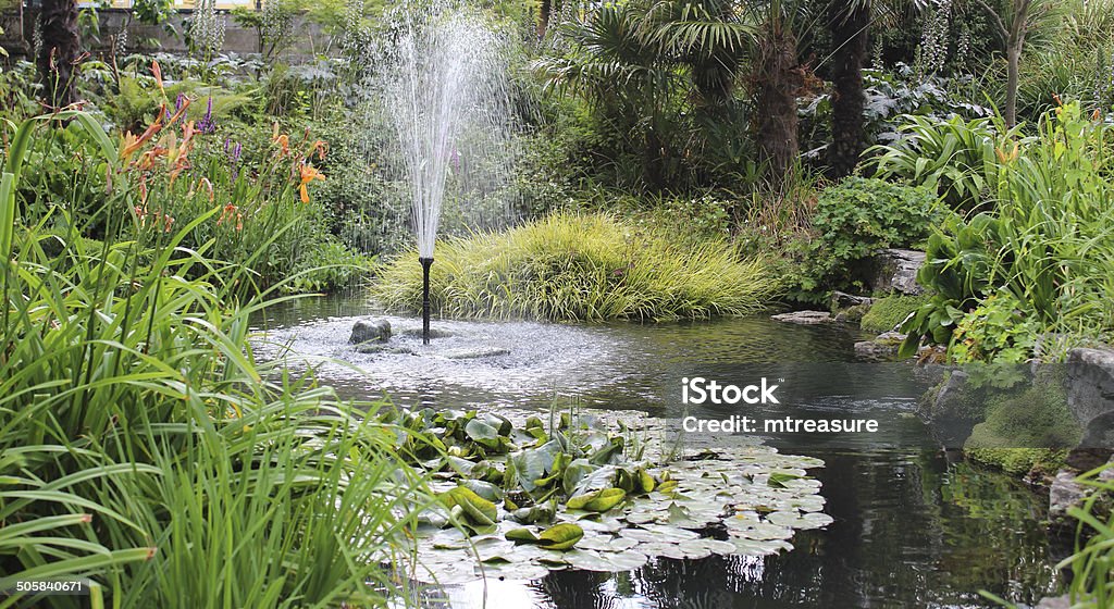 Imagem de jardim Pequeno Lago com fonte, água Liliáceas, flores - Royalty-free Ajardinado Foto de stock