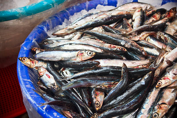 istock Fresh fish in Jagalchi Fish Market 505840887