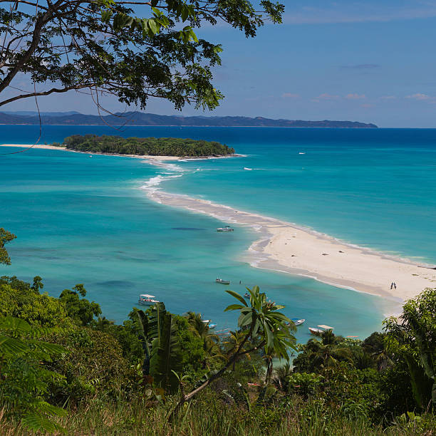 istock Sand path on a paradise beach on turquoise waters 505841216