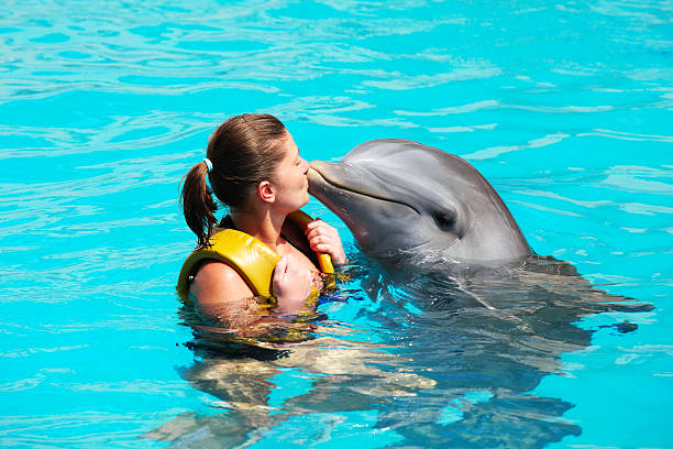 I love dolphins! A picture of a young woman kissing a dolphin in a turquise water dolphin stock pictures, royalty-free photos & images