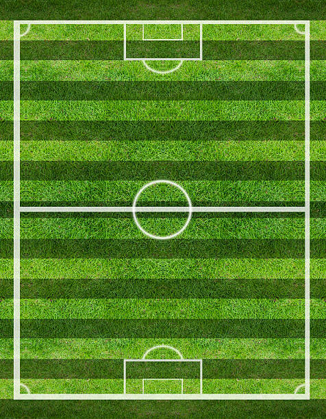 istock soccer field, Green grass background and texture 505844359