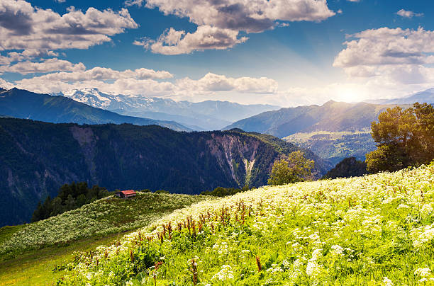 istock mountain landscape of georgia 505844471