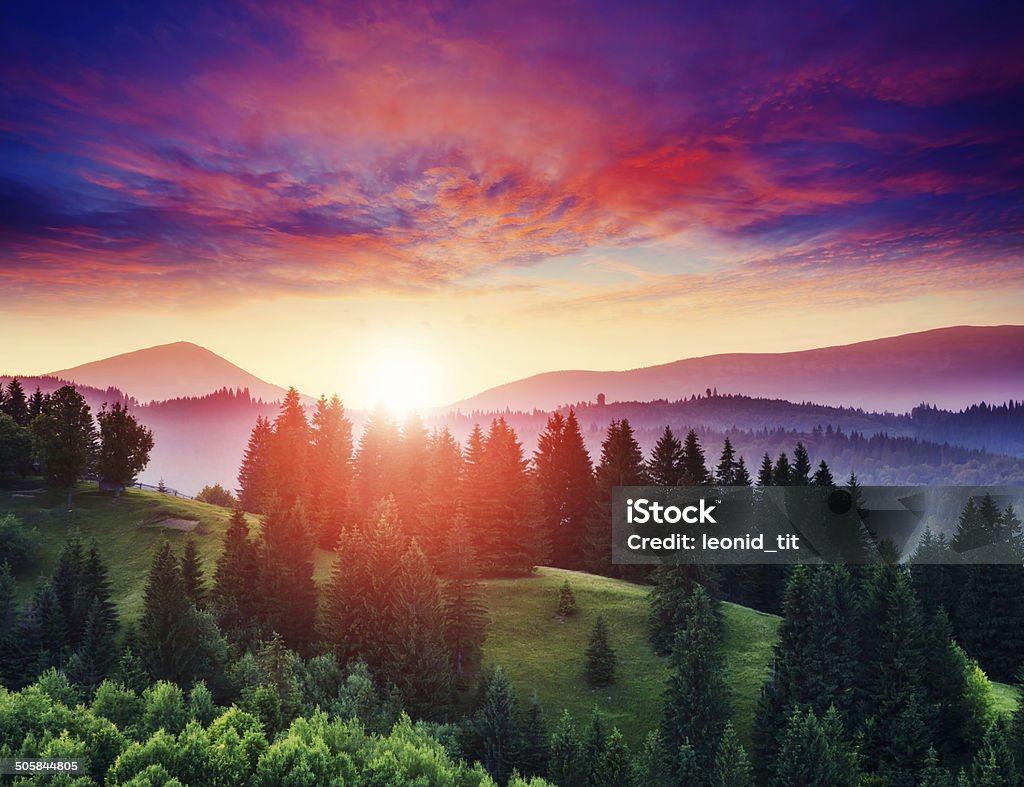 sunny mountain landscape Beautiful green hills at twilight. Dramatic red sky. Carpathian, Ukraine, Europe. Beauty world. Adventure Stock Photo