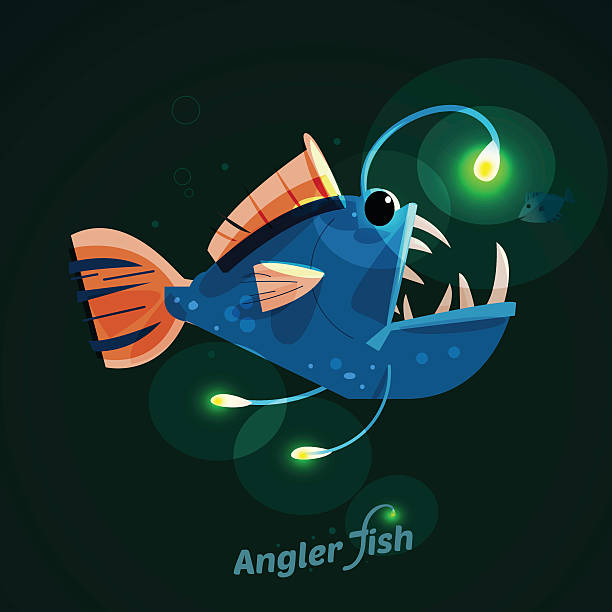 ilustraciones, imágenes clip art, dibujos animados e iconos de stock de carácter angler fish. diseño-vector - anglerfish