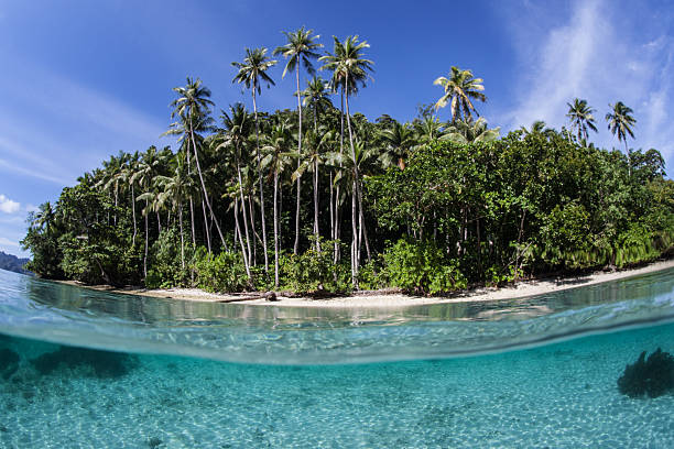 istock Tropical Island in Western Pacific 505846604