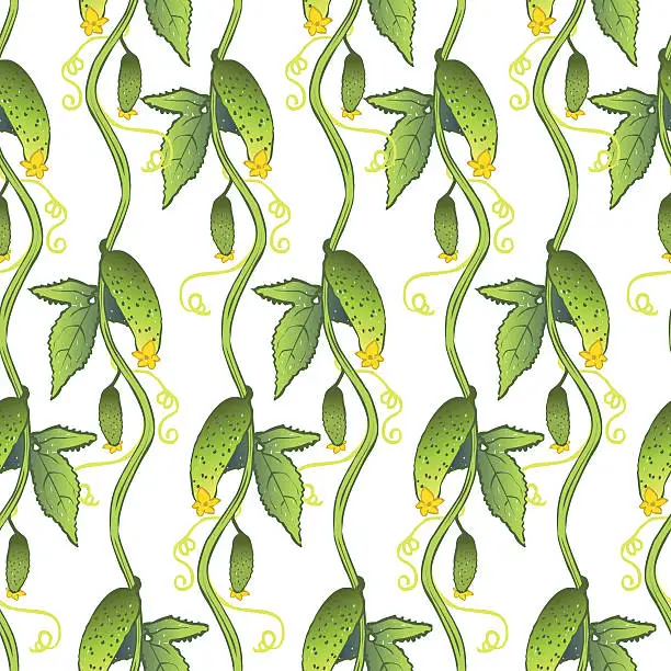 Vector illustration of Seamless cucumber pattern