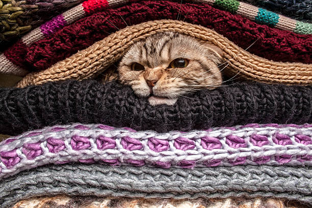 istock Pile of woolen clothes 505850792