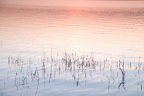 istock Beautiful autumn sunrise or sunset with Reflection on Lake 505865030
