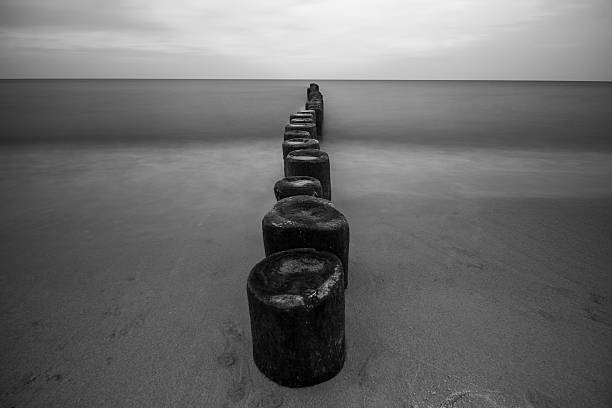istock breakwater on the beach black and white 505865170