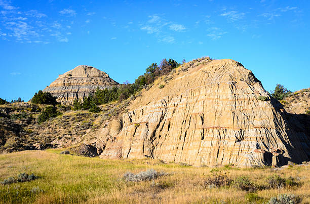 istock Theodore Roosevelt National Park, 505865262