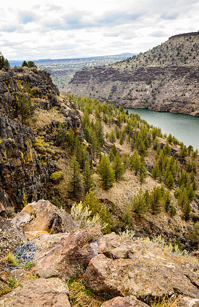 istock The Cove Palisades State Park 505865466