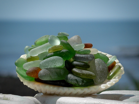 Green, brown and blue sea glass pearls arranged in a white shell in front of the ocean.