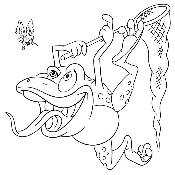 cute cartoon лягушка и комар - frog animal tongue animal eating stock illustrations