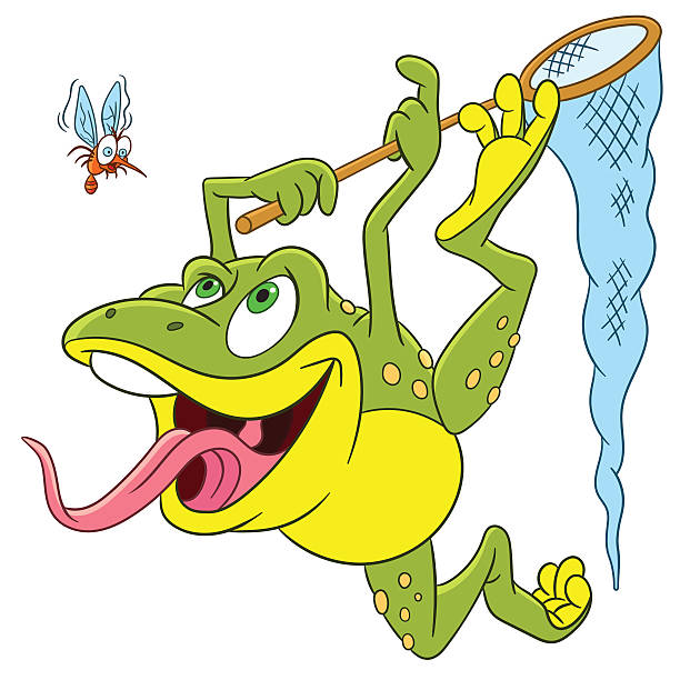 かわいい漫画のカエルやモスキート - frog animal tongue animal eating点のイラスト素材／クリップアート素材／マンガ素材／アイコン素材