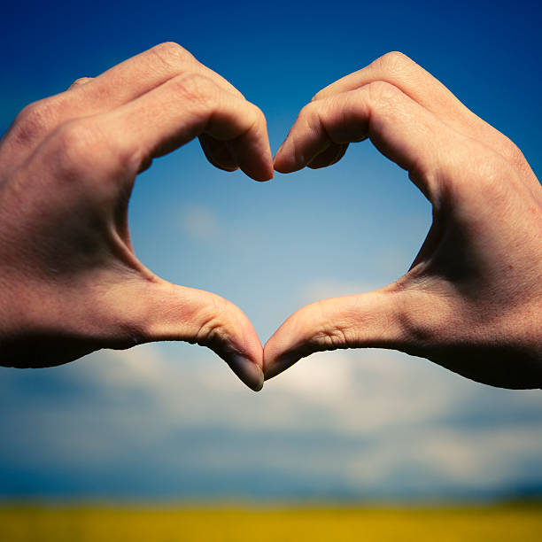 istock Love shape hands - heart on yellow field, blue sky 505869885
