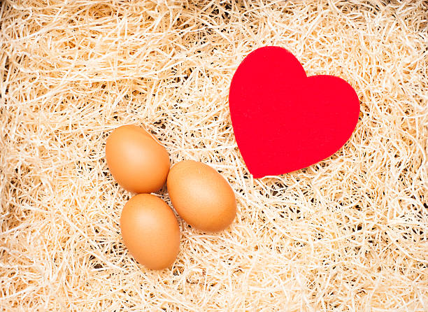 istock Love cradle and egg with red heart and straw 505870764