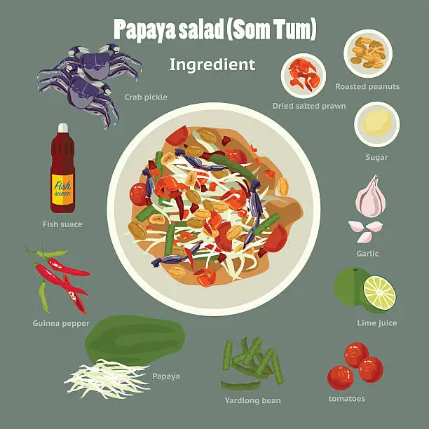 Vector illustration of papaya salad (Som Tum)