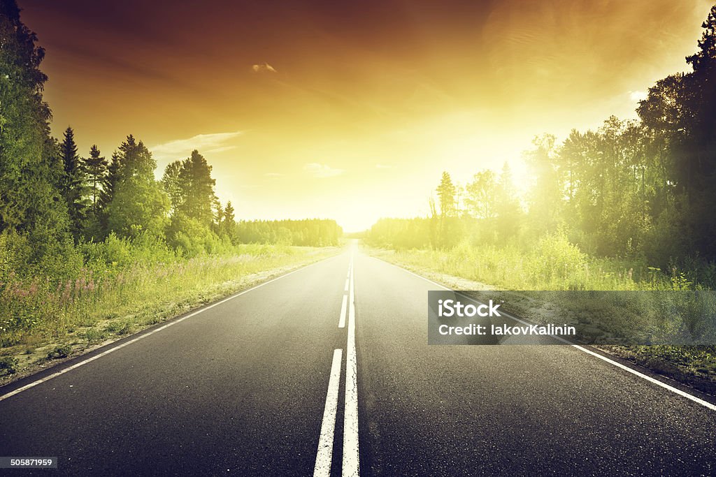 road in deep forest Agricultural Field Stock Photo