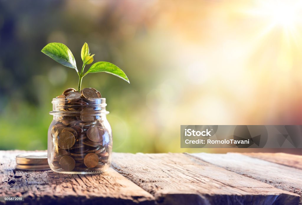 Economy, Investment And Saving Concept Plant Growing In Savings Coins - Currency Stock Photo