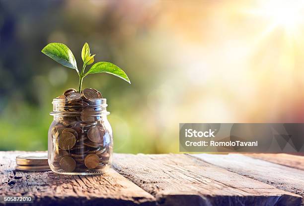 Economy Investment And Saving Concept Stock Photo - Download Image Now - Currency, Growth, Savings