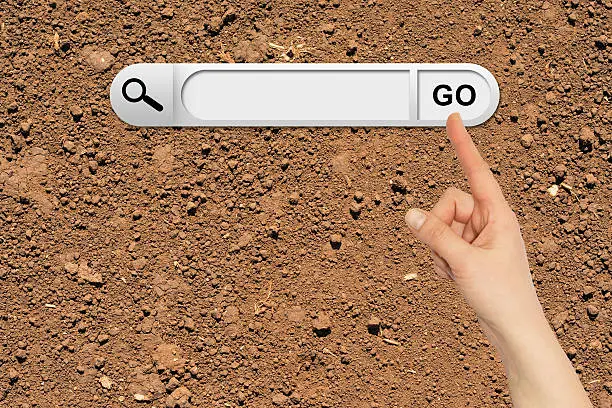 Photo of Human hand indicates the search bar in browser