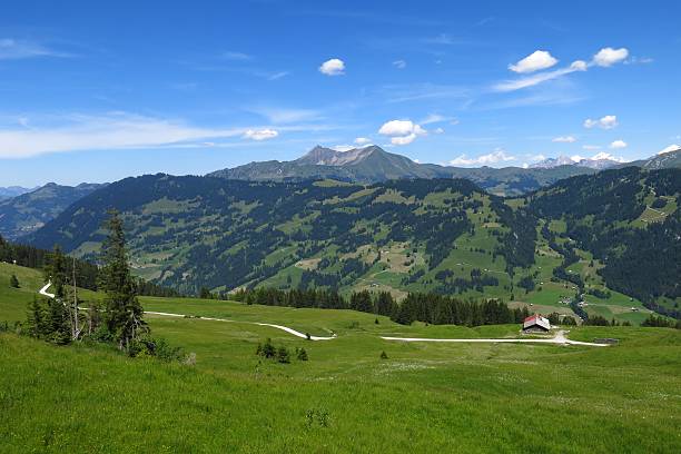 istock Landscape in the Bernese Oberland 505873213