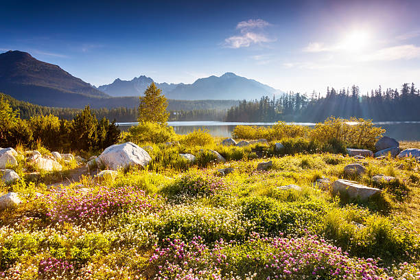 istock lake in the mountains 505873235