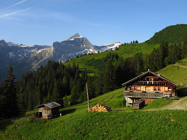 istock Farm house and Oldenhorn 505873633