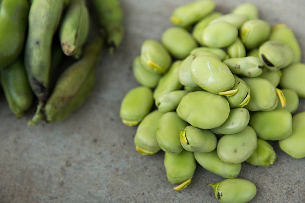 feijão-lima e pod - green bean bean pod nobody imagens e fotografias de stock